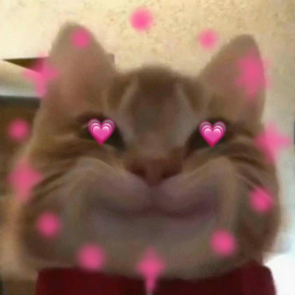 歪嘴小猫表情包来啦,喜欢的快收图吧