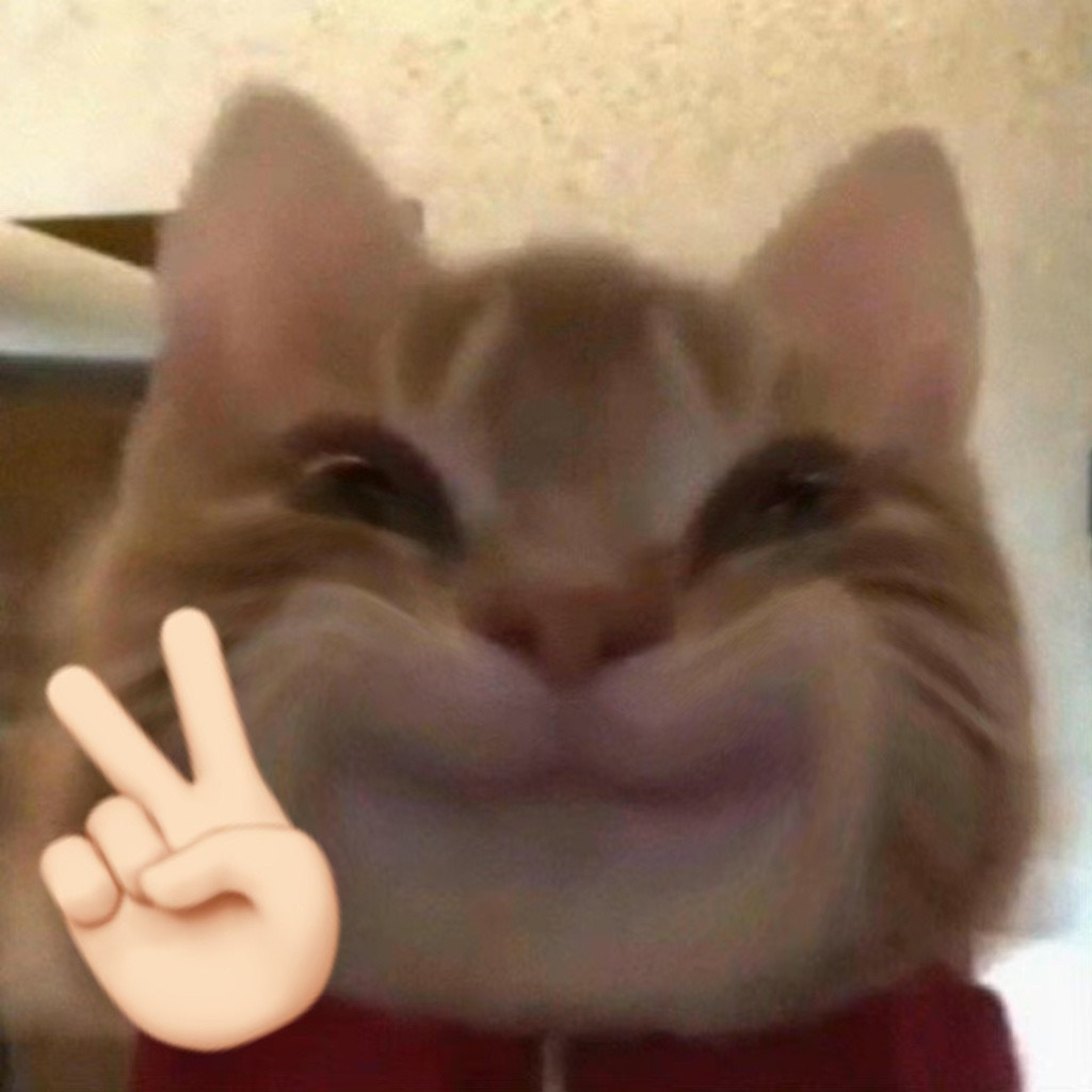 歪嘴小猫表情包来啦,喜欢的快收图吧