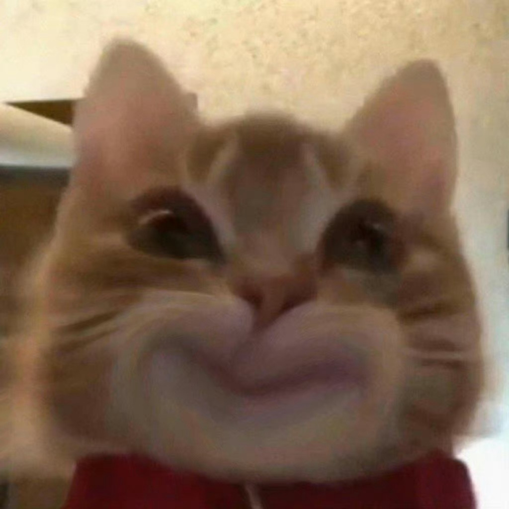 歪嘴小猫表情包来啦,喜欢的快收图吧