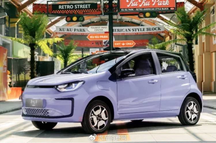 换装jac车标 钇为花仙子挚爱版将于6月10日上市-新浪汽车