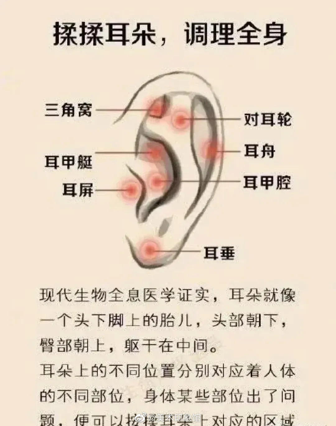 揉揉耳朵调理全身收藏留着有用