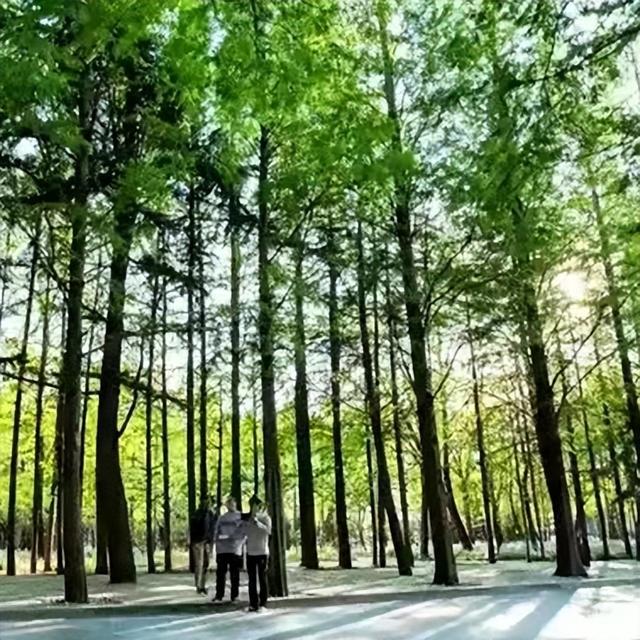 致全国高考考生的一封信休闲区蓝鸢梦想 - Www.slyday.coM