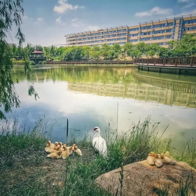 致全国高考考生的一封信休闲区蓝鸢梦想 - Www.slyday.coM