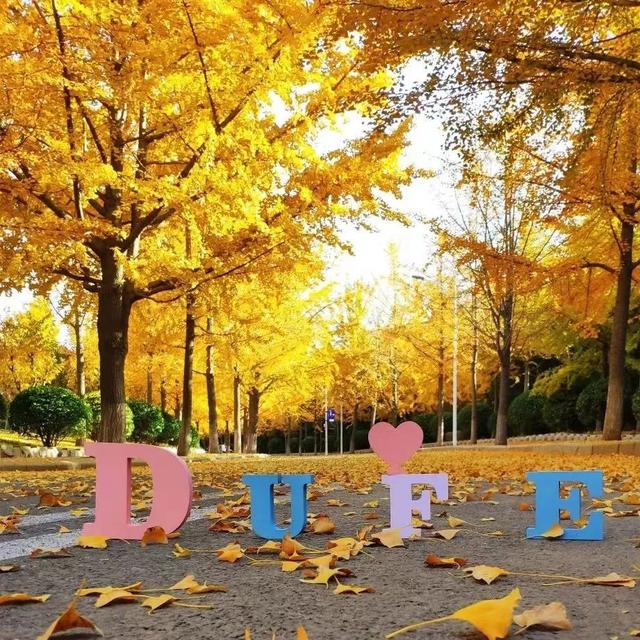 致全国高考考生的一封信休闲区蓝鸢梦想 - Www.slyday.coM