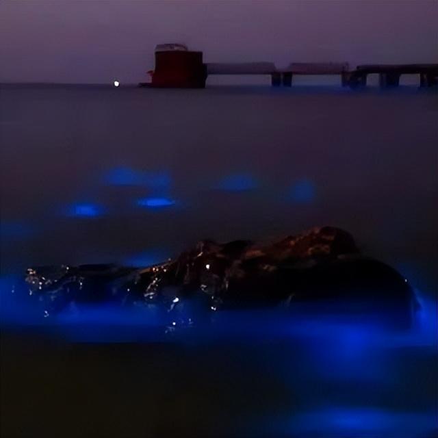 致全国高考考生的一封信休闲区蓝鸢梦想 - Www.slyday.coM