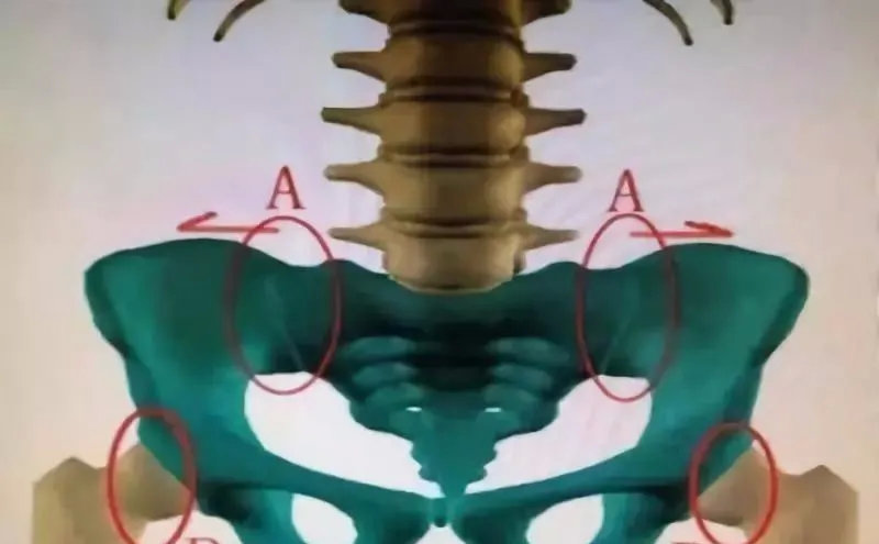 太极拳行在尾闾站在三顶坐在会阴卧在四空