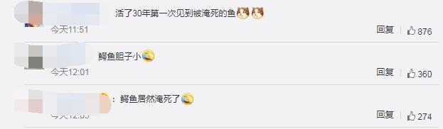 活久见！200斤鳄鱼被吓后待水里溺死，养殖人员：它胆子很小休闲区蓝鸢梦想 - Www.slyday.coM