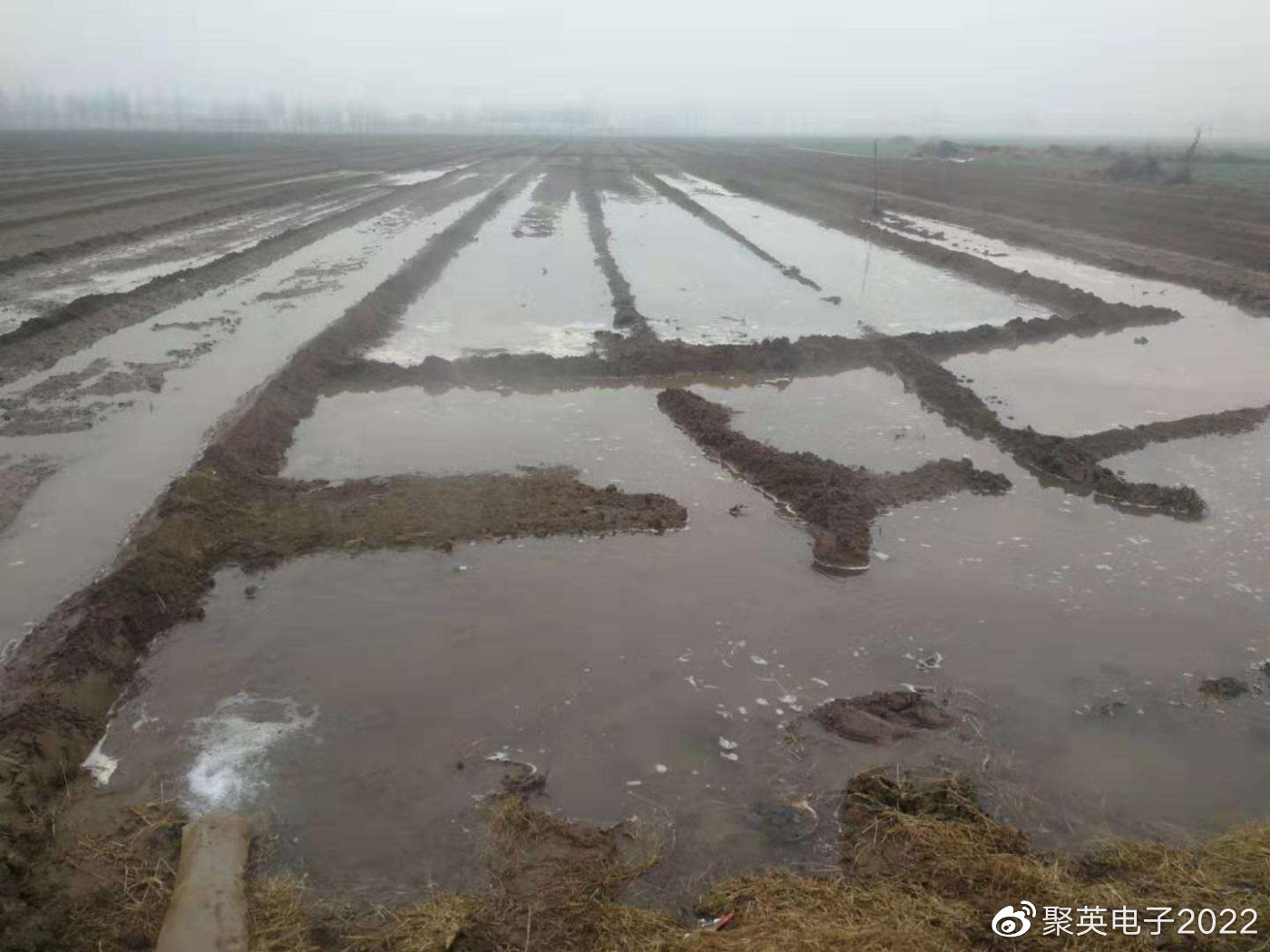 【智慧农业】聚英智能灌溉系统应用,兼容传统灌溉方式,手机一键灌溉__财经头条