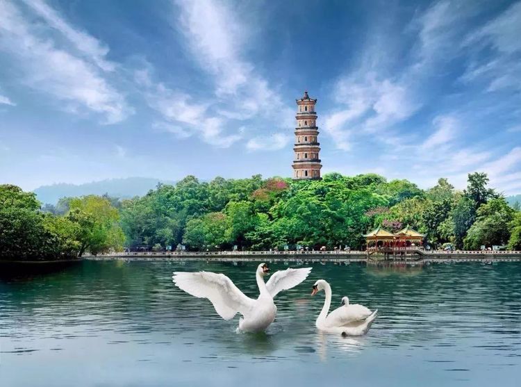 广东有一5a景区走红,风景秀丽不逊西湖美景,无需门票人气火爆|西湖|惠