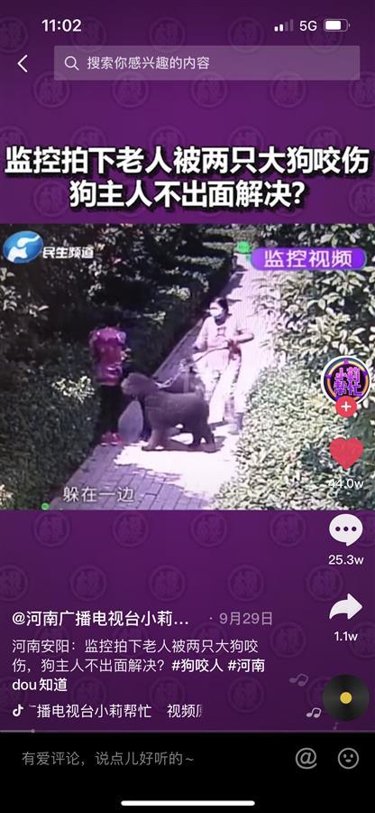 “狗咬老人事件”气哭记者，当地纪委介入，狗主人名字成政府官网十大热搜词休闲区蓝鸢梦想 - Www.slyday.coM