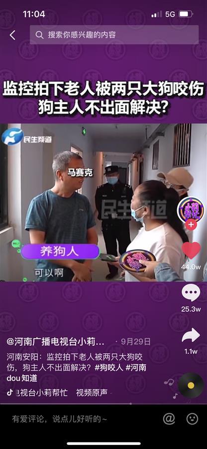 “狗咬老人事件”气哭记者，当地纪委介入，狗主人名字成政府官网十大热搜词休闲区蓝鸢梦想 - Www.slyday.coM