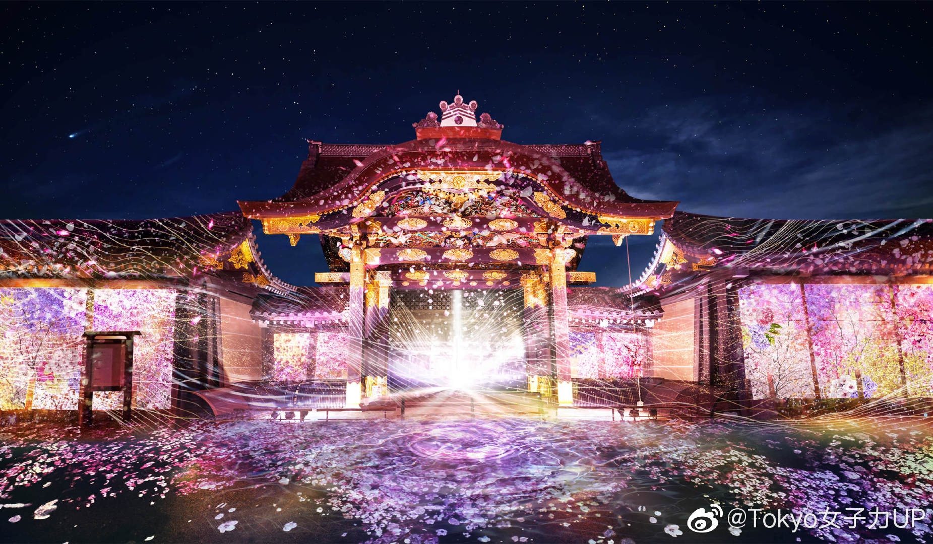 Flowers By Naked 桜 世界遗产 二条城 Flowers By Naked 桜 世界遗产 二条城