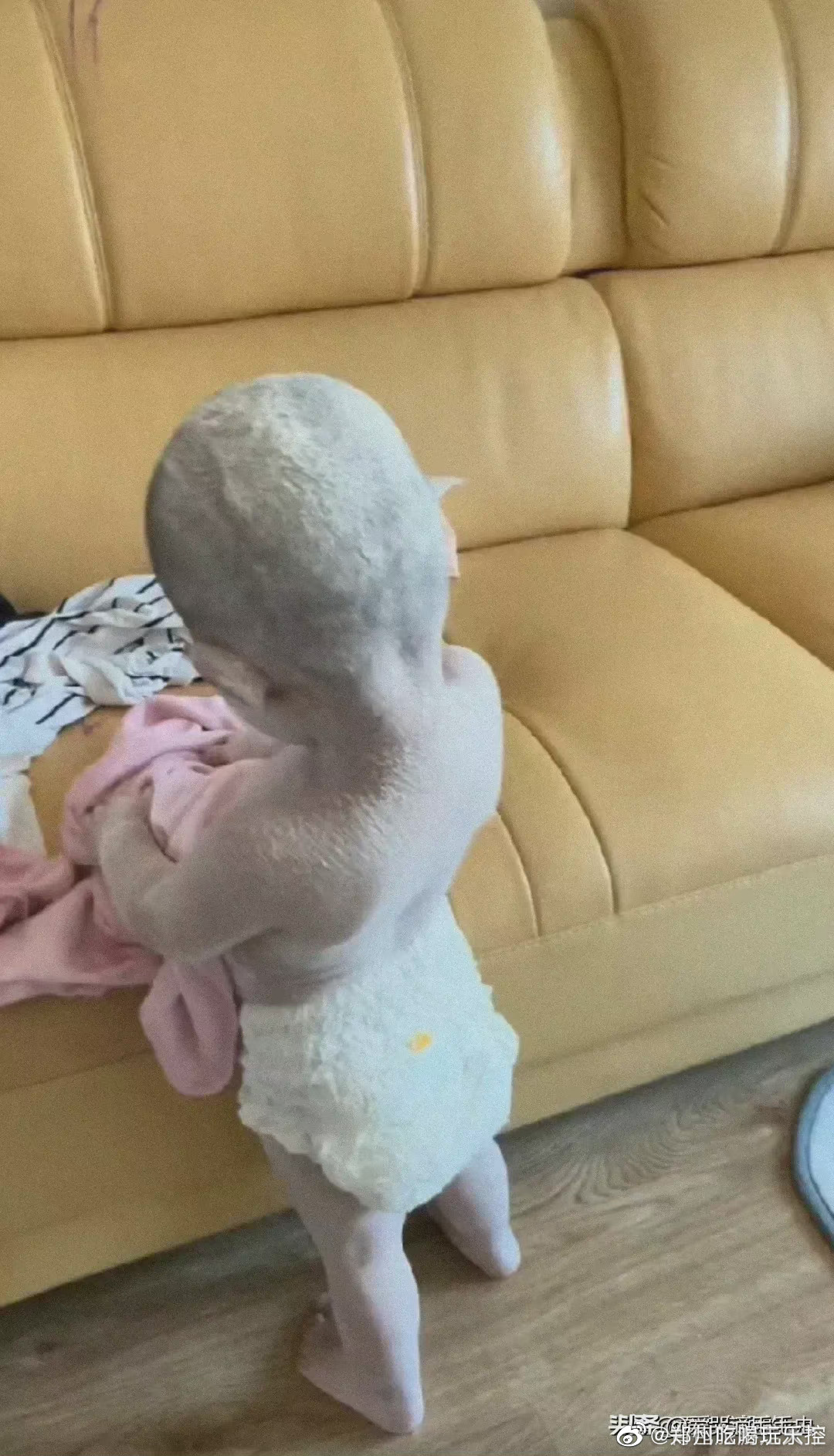 穿尿不湿的果然猖狂啊