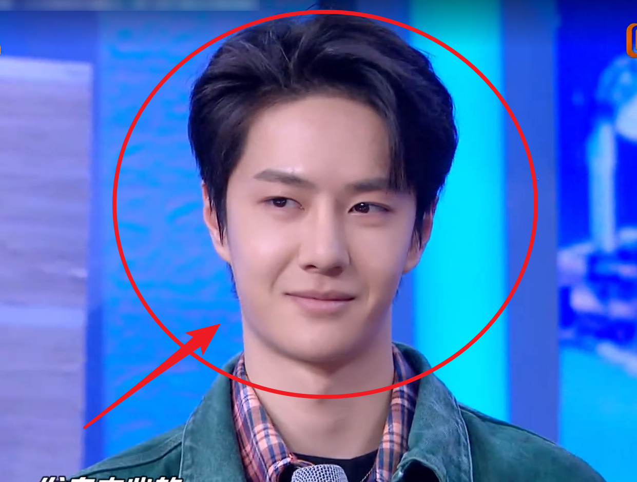 44岁王力宏和王一博同框,镜头展现真实颜值,这确定有21岁的差距?