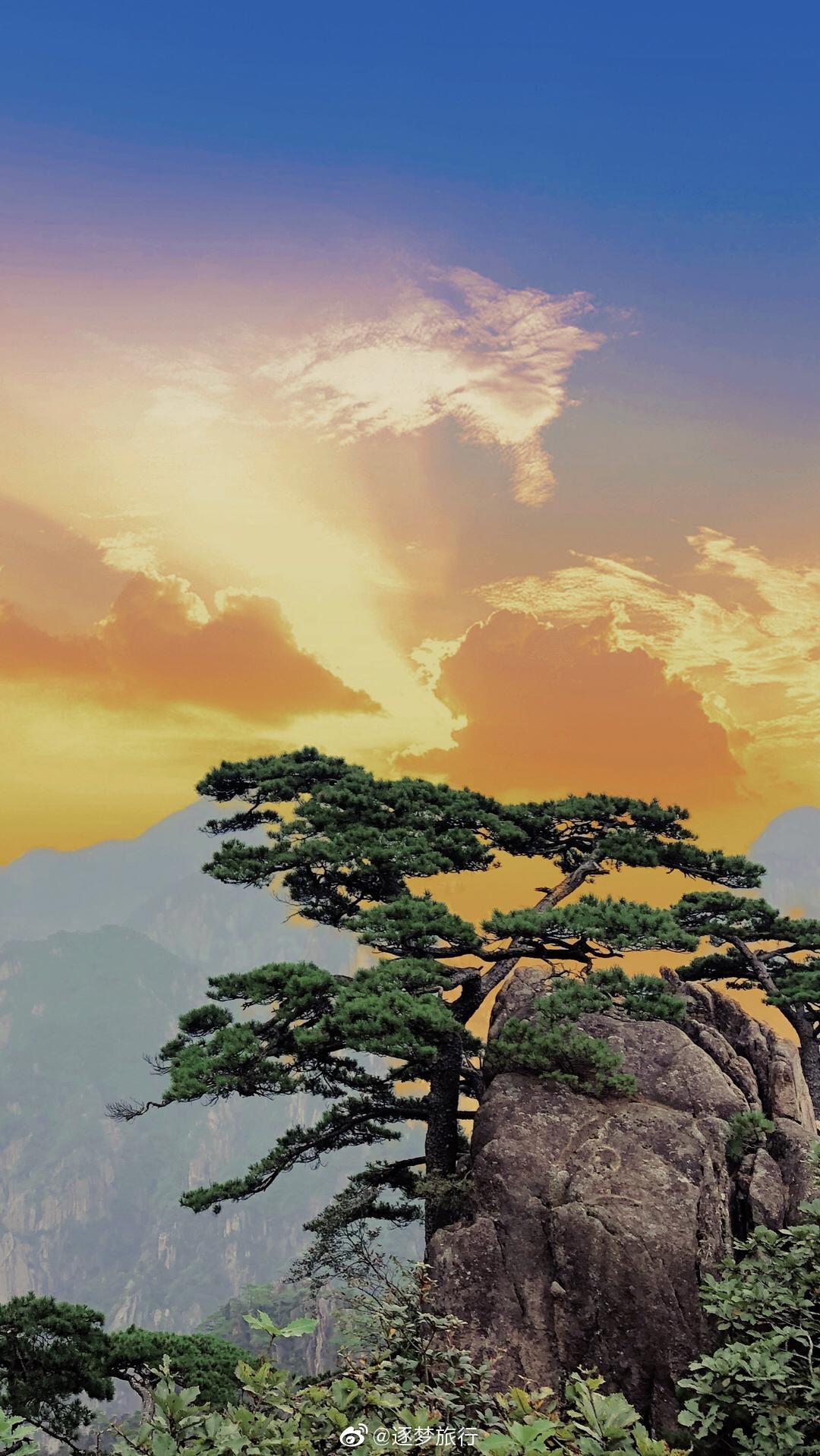 黄山迎客松的春夏秋冬, 缩影成这四张照片……__财经头条