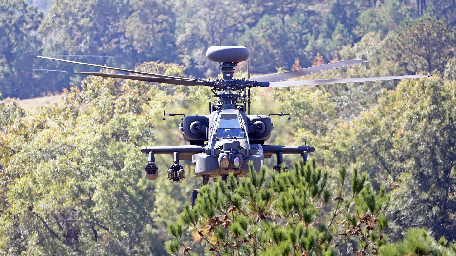 一架AH-64E阿帕奇守护者和UH-60M黑鹰直升机进行多舰能力演示。