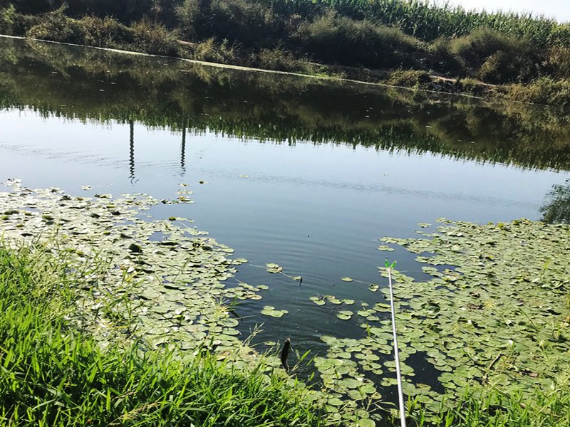 新手钓友牢记钓鱼7忌,虽然不能助你多钓鱼,但也能不让你放炮