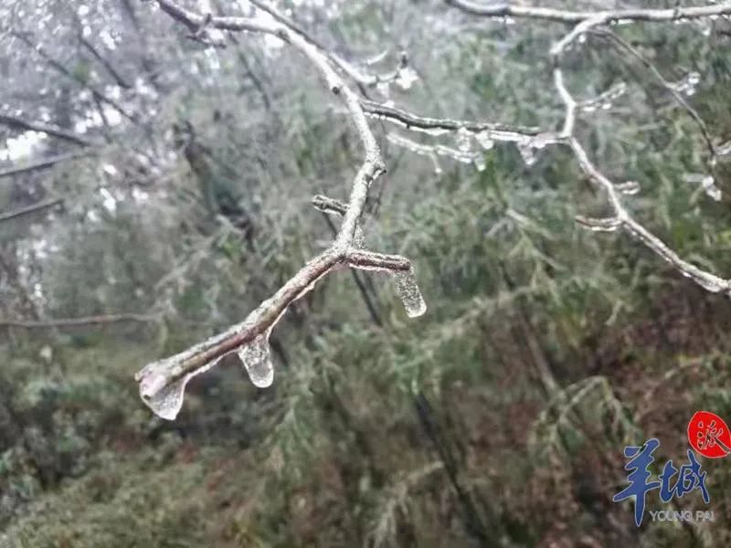 “广州下雪了”？！最新回应来了休闲区蓝鸢梦想 - Www.slyday.coM