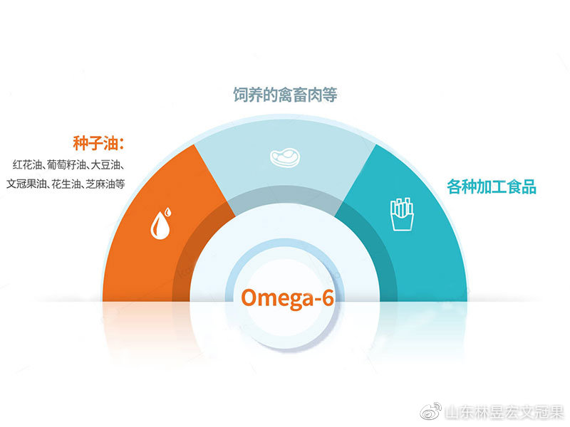 一文带你了解欧米伽6
