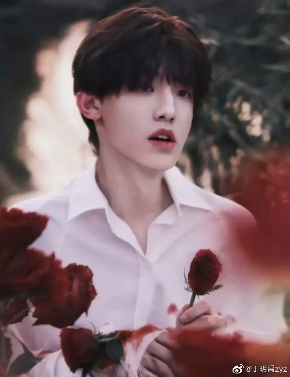 张泽禹 @TF家族-张泽禹 好可爱的一孩子 眼神温柔……__财经头条