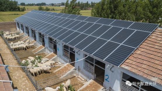 光伏|养殖场|养殖_新浪新闻