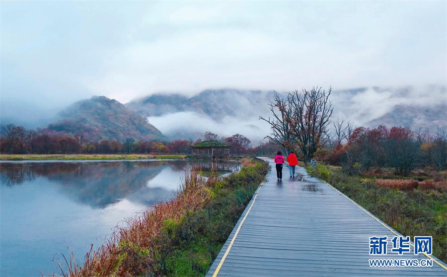 世界湿地日：走进大九湖，领略湿地之美休闲区蓝鸢梦想 - Www.slyday.coM