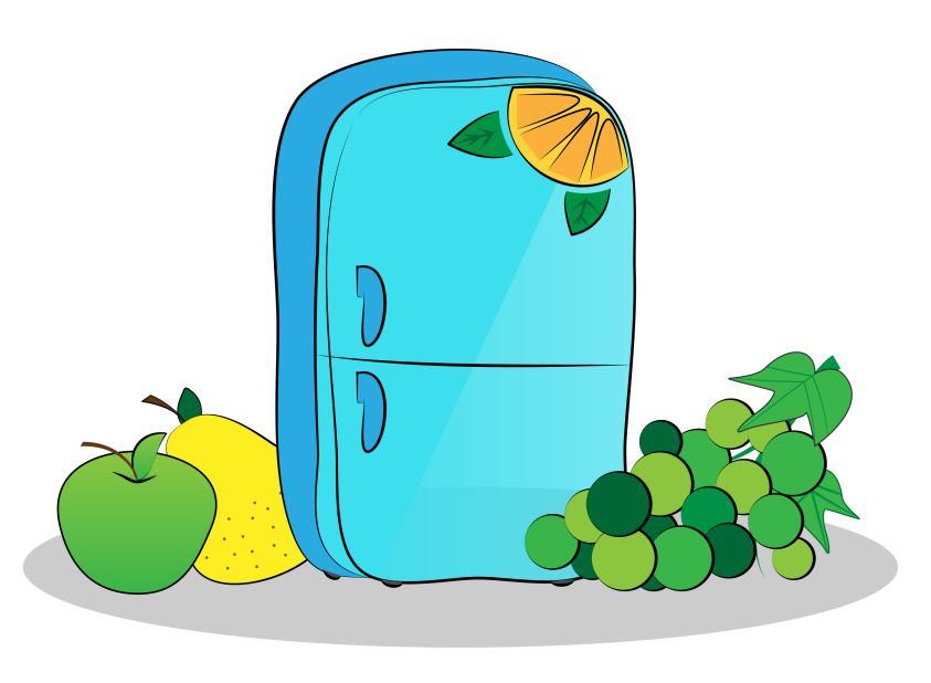 冰箱不是万能箱别什么都往冰箱里塞