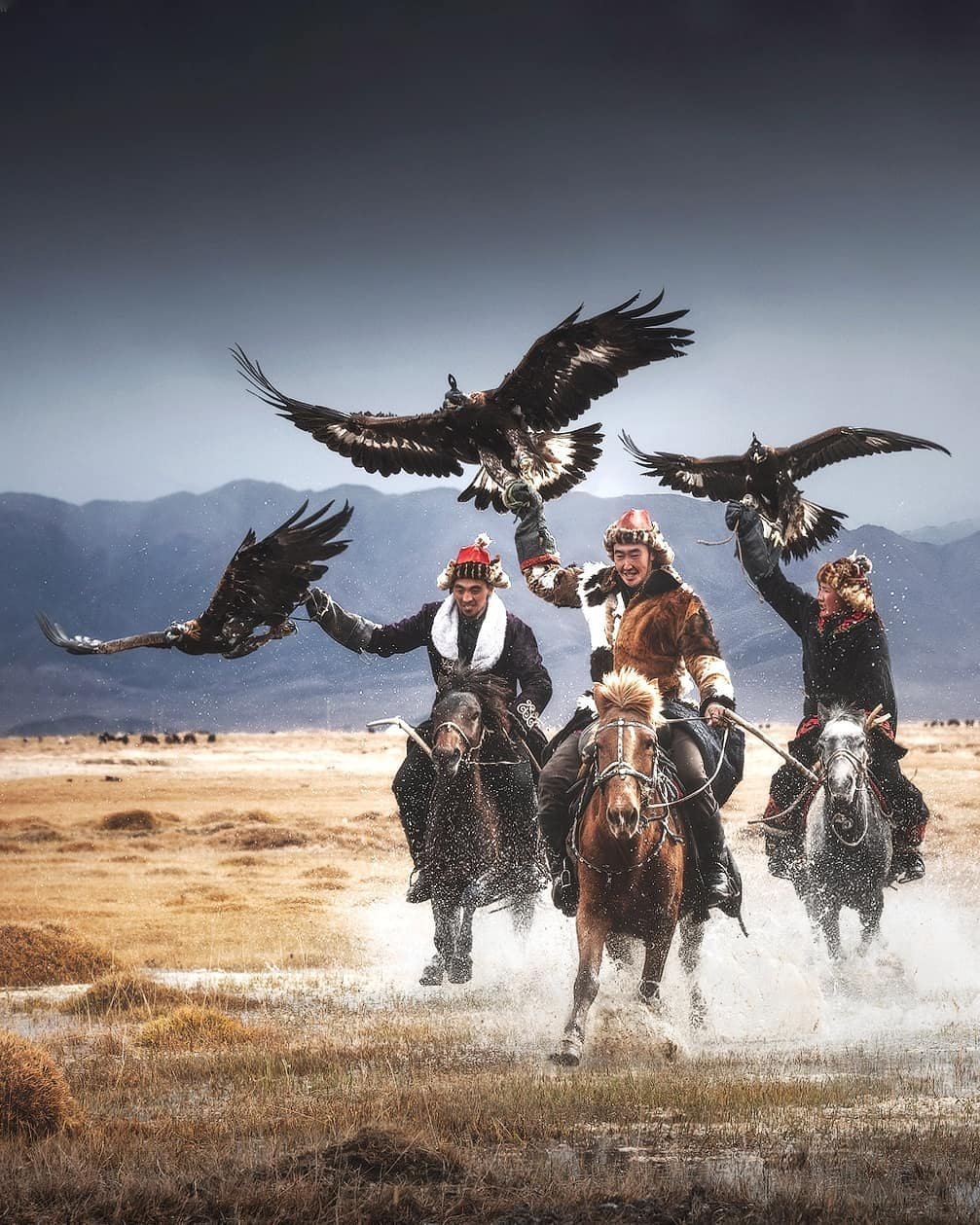 蒙古国,荒原里的哈萨克驯鹰人 | daniel kordan