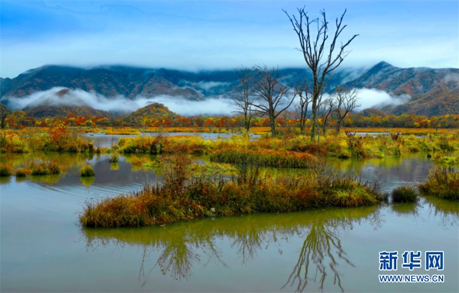 世界湿地日：走进大九湖，领略湿地之美休闲区蓝鸢梦想 - Www.slyday.coM
