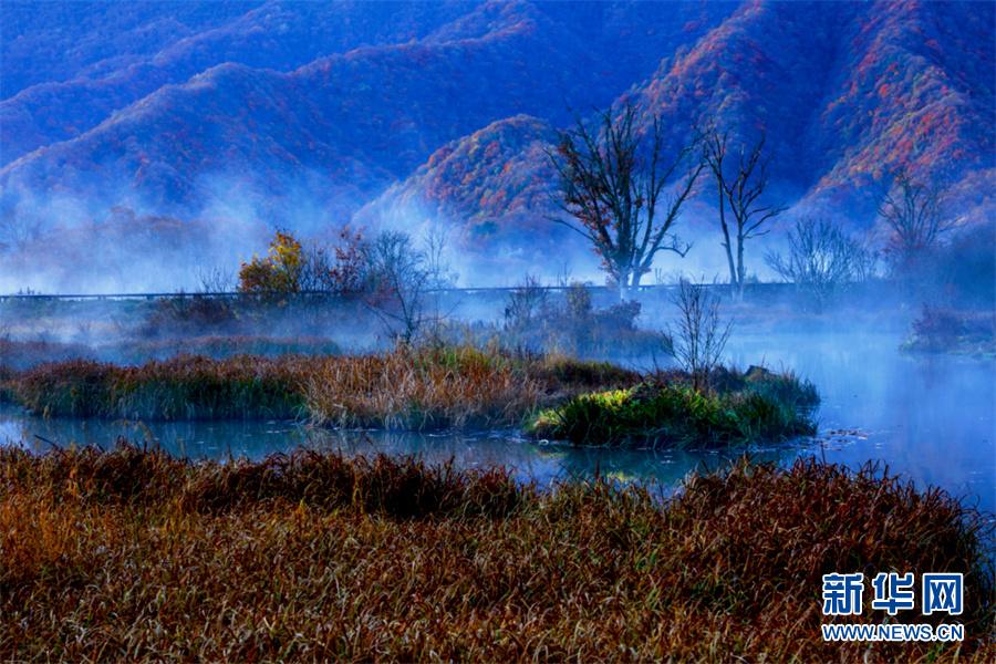 世界湿地日：走进大九湖，领略湿地之美休闲区蓝鸢梦想 - Www.slyday.coM
