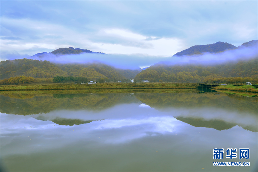 世界湿地日：走进大九湖，领略湿地之美休闲区蓝鸢梦想 - Www.slyday.coM