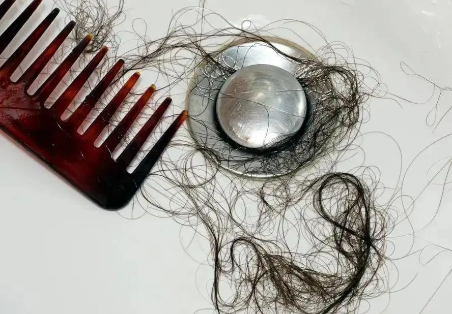 身体越来越虚!多吃这3个小种子,尤其是脾胃不好,气血差的人休闲区蓝鸢梦想 - Www.slyday.coM 身体越来越虚!多吃这3个小种子,尤其是脾胃不好,气血差的人休闲区蓝鸢梦想 - Www.slyday.coM