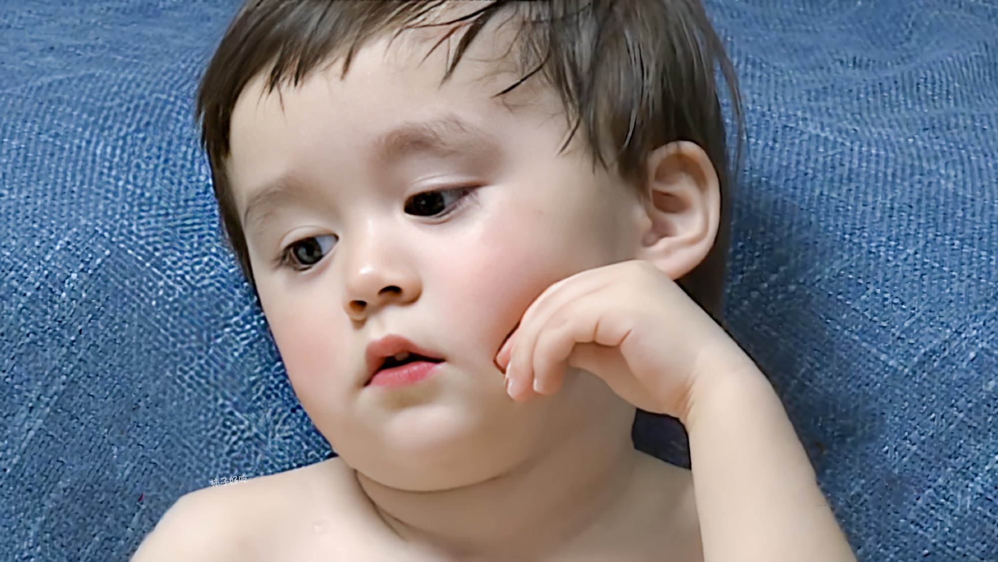 可可爱爱本特利_高清图集_新浪网