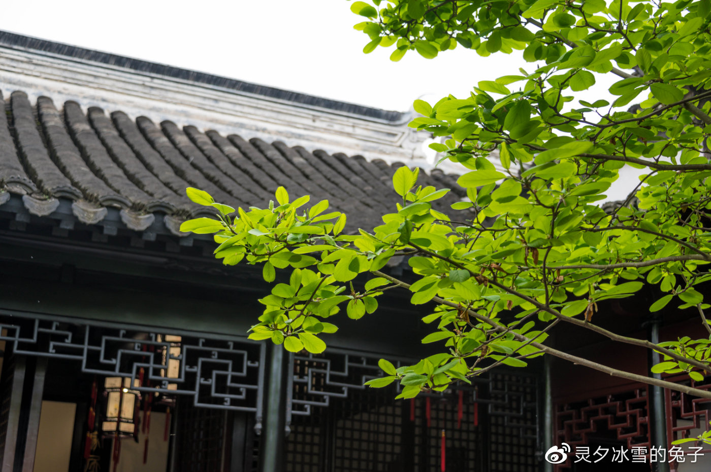 走进中国第一水乡，3天2晚这么玩，你和周庄的距离只有1个小时休闲区蓝鸢梦想 - Www.slyday.coM