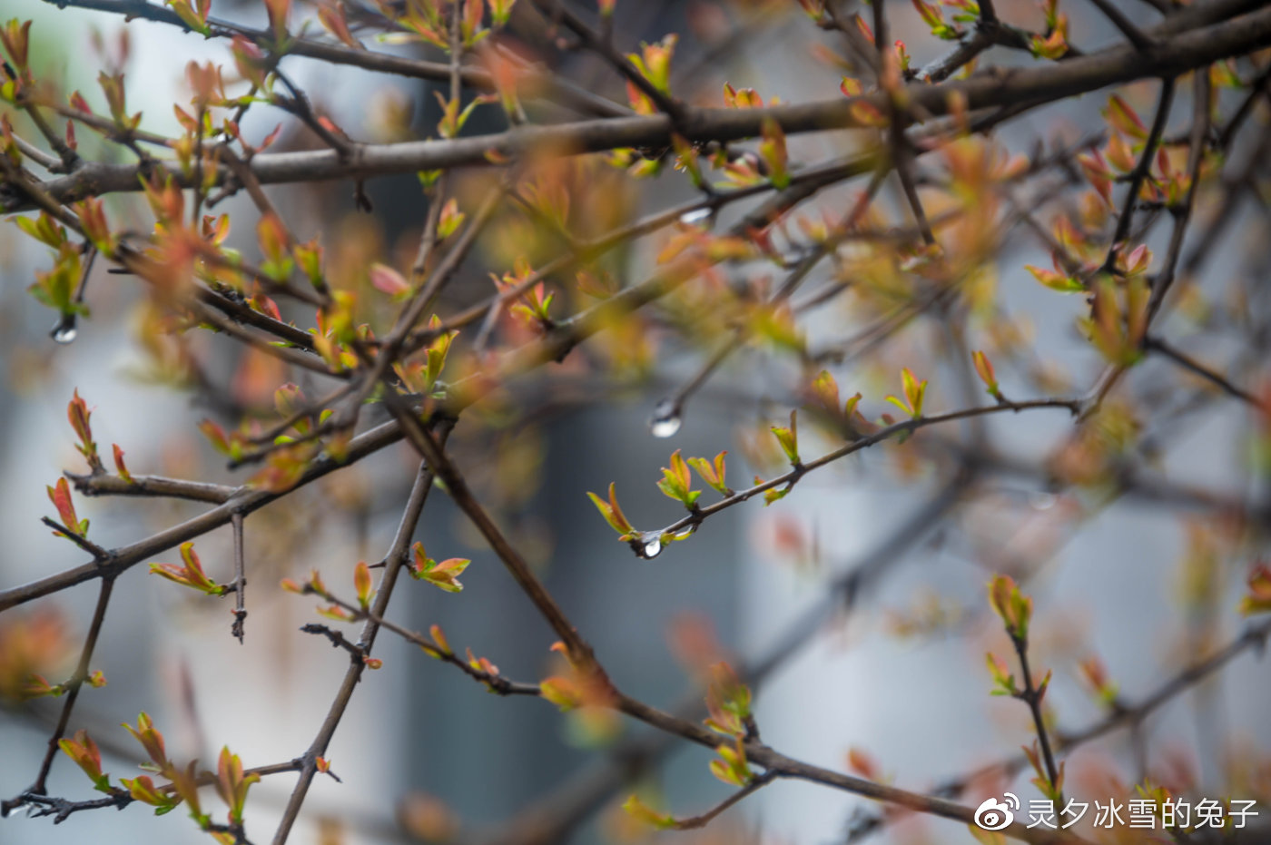 走进中国第一水乡，3天2晚这么玩，你和周庄的距离只有1个小时休闲区蓝鸢梦想 - Www.slyday.coM