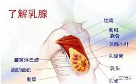 乳房|男性|药物_新浪新闻