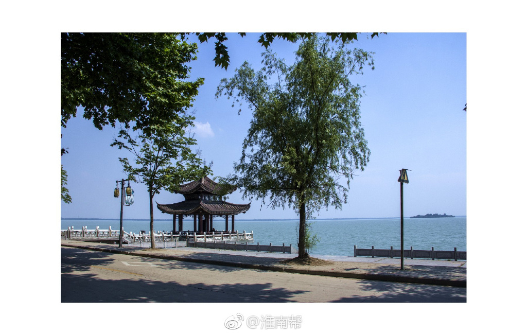 安丰塘塘中岛要做什么?你说了算!