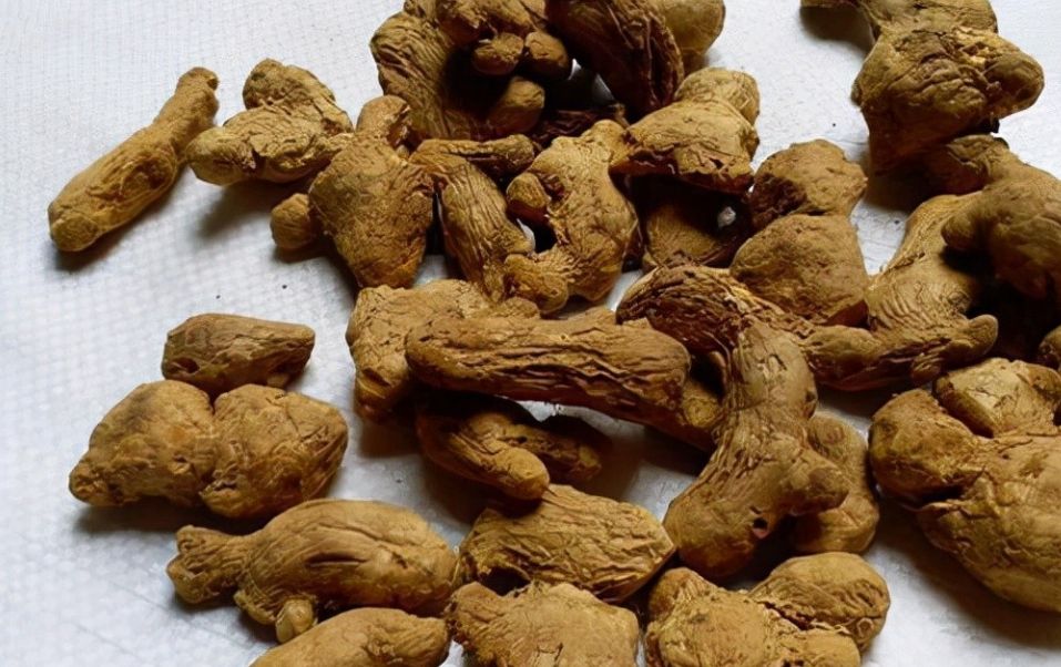 温经止血之炮姜