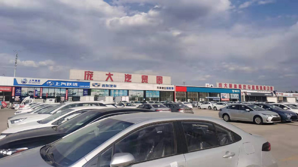 卖地、裁员、断臂求生 庞大集团为何仍在风雨飘