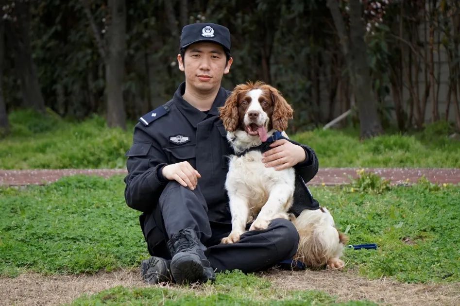 魔都轨交搜爆犬大揭秘|巴顿|警犬|刀疤_新浪新闻