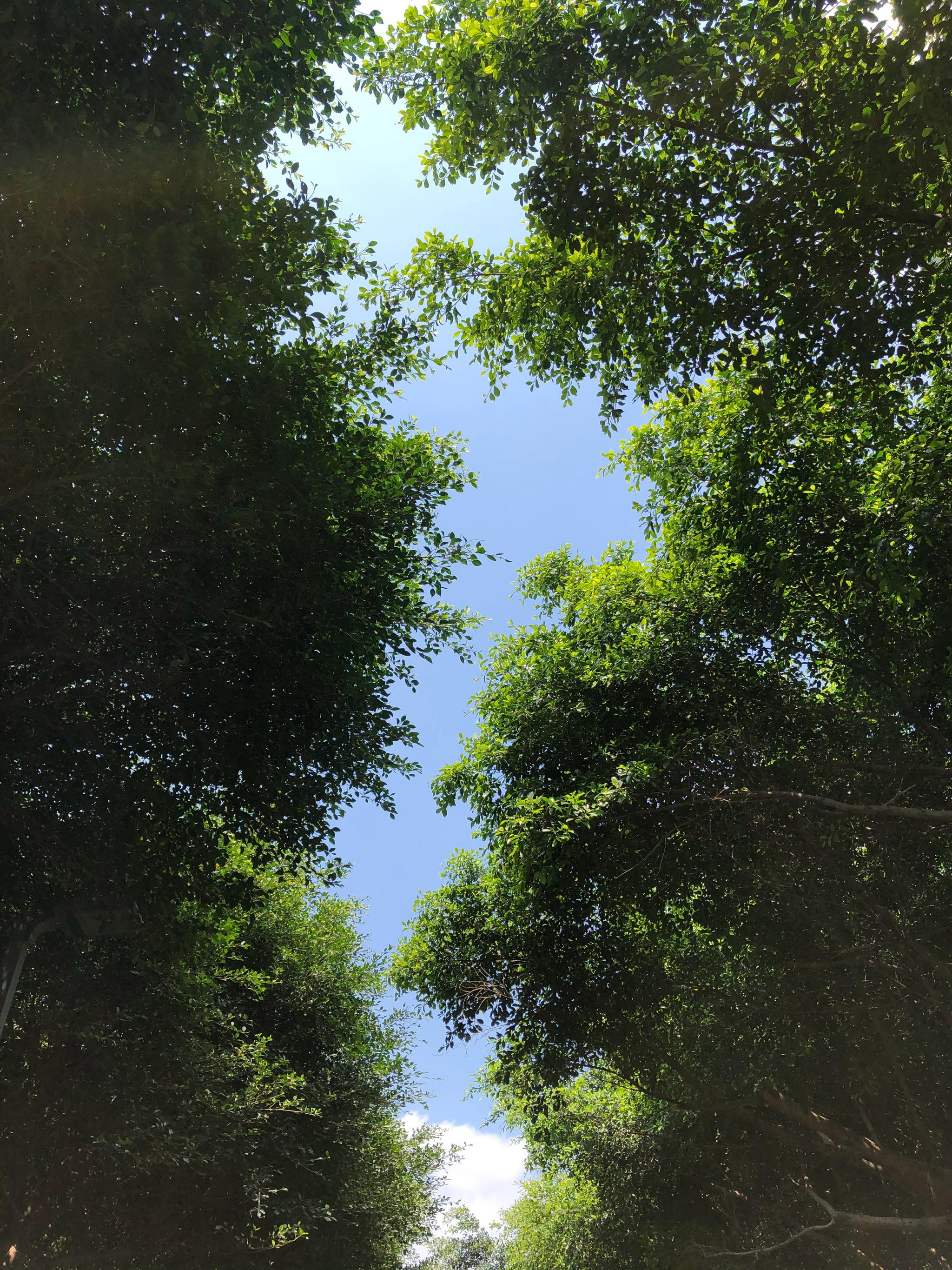 微风徐徐,阳光正好