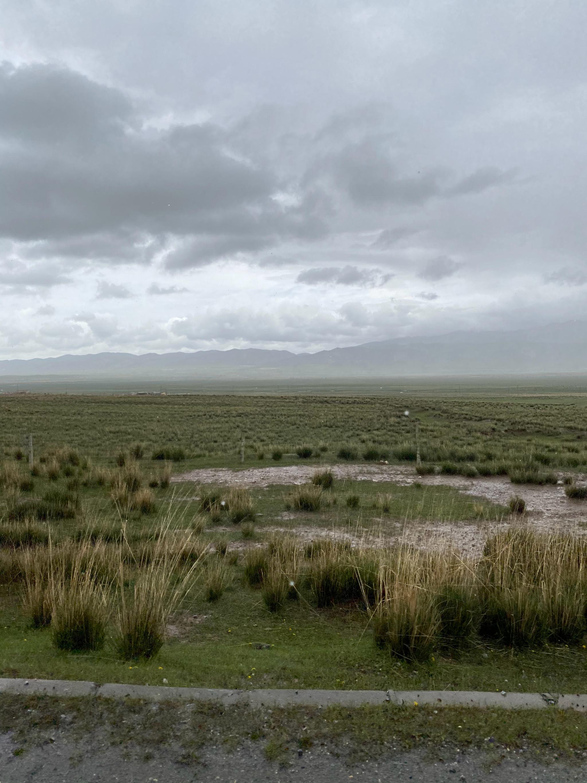 草原上突然下雨,朦朦的雾气从地面升起,有种朦胧美