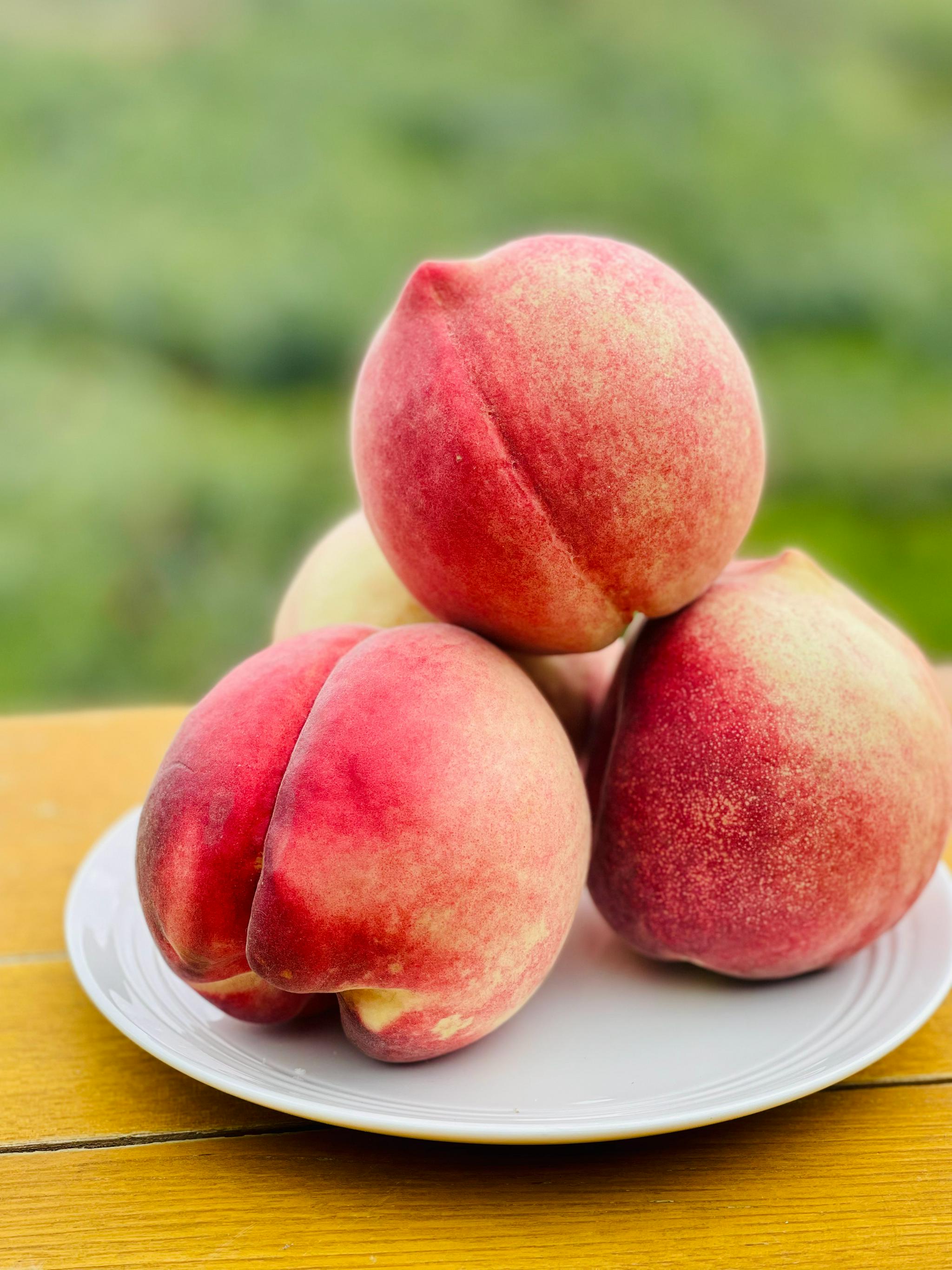 又到了吃雪桃的季节 这里是吉北科村 距离丽江一个多小时车程