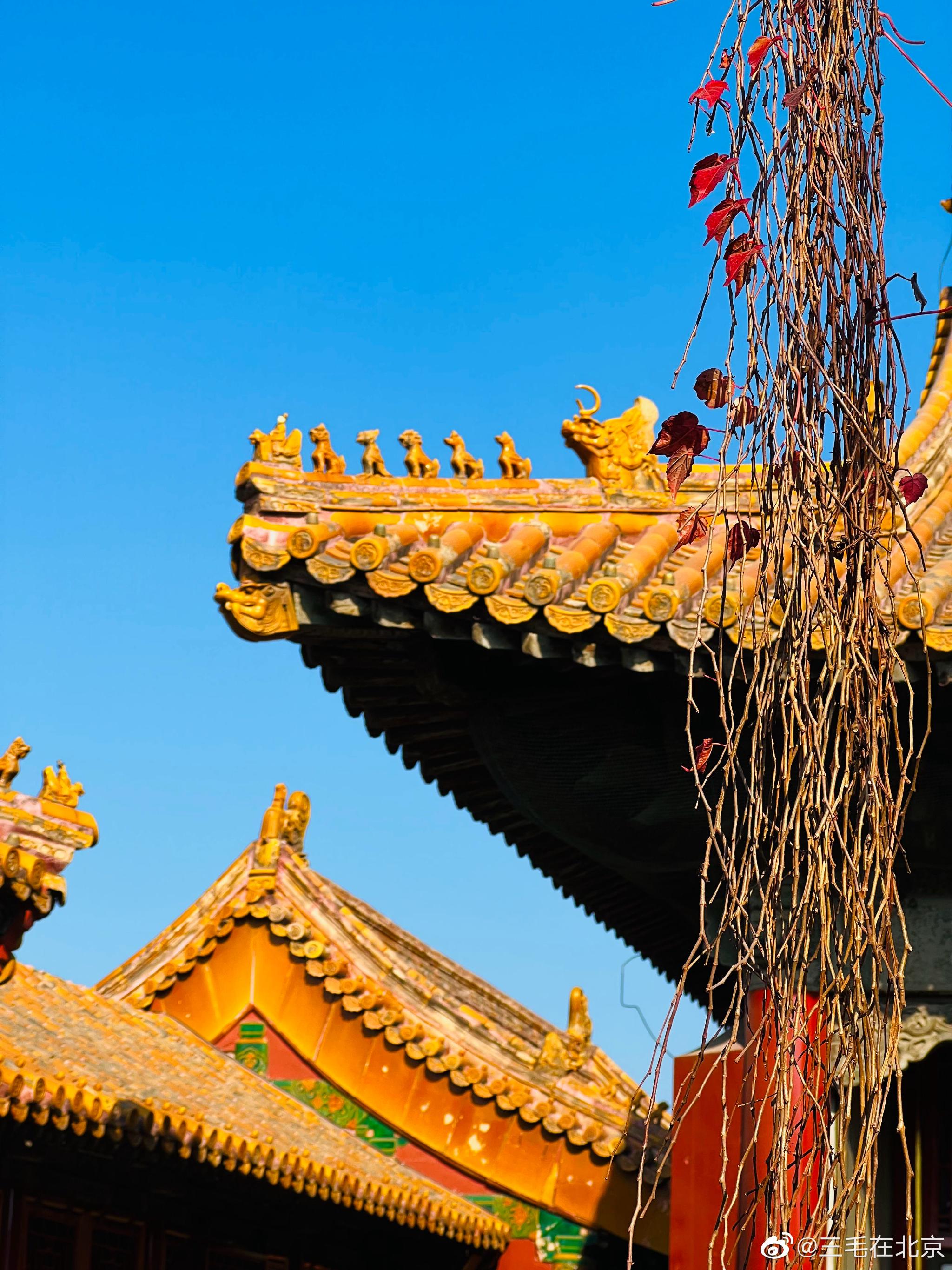 那一日 走过故宫博物院 翊坤宫摄影__财经头条