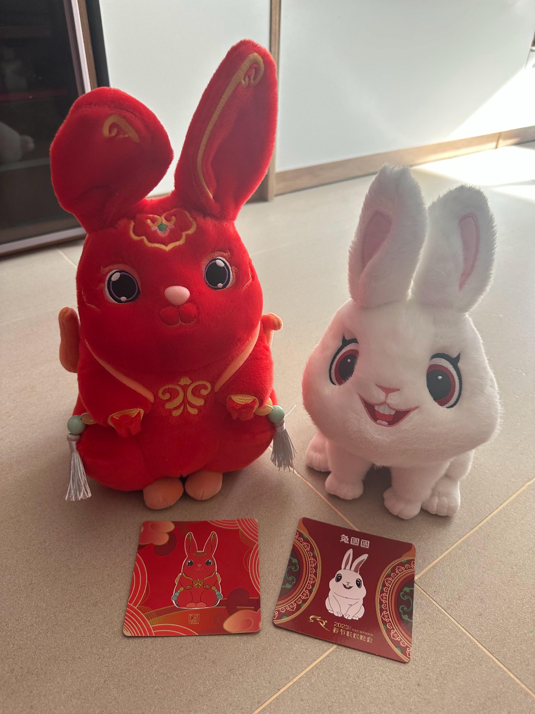 央视的朋友们送的兔团团和兔圆圆 还是春晚款_高清图集_新浪网