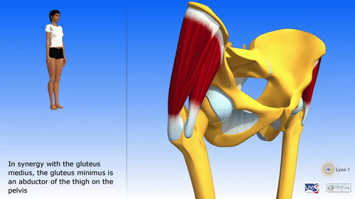 浪姐2李菲儿黄教主互动镜头被删光旧人重提想起了这姐的好身材