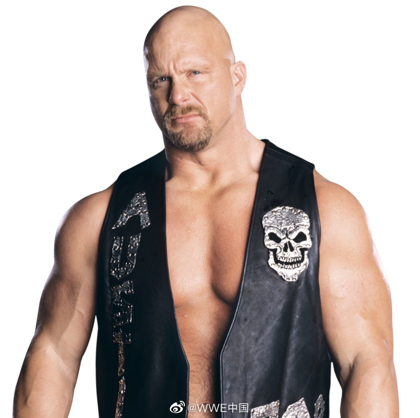 "冷石"史蒂夫-奥斯丁b. 罗门-伦斯c. 约翰-塞纳d.