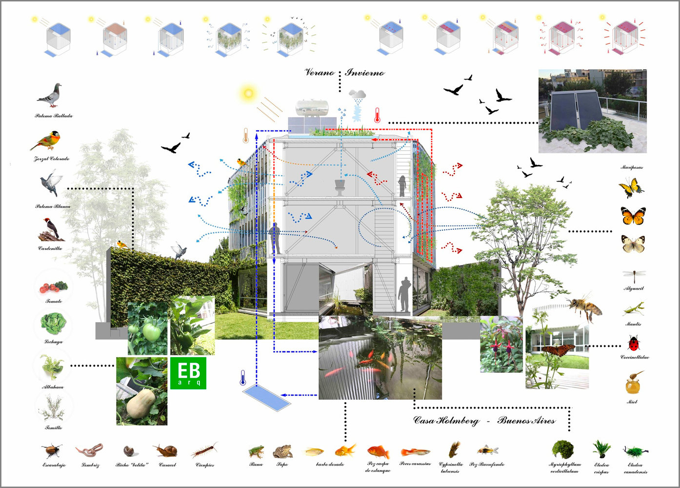 建筑生物气候分析图_高清图集_新浪网