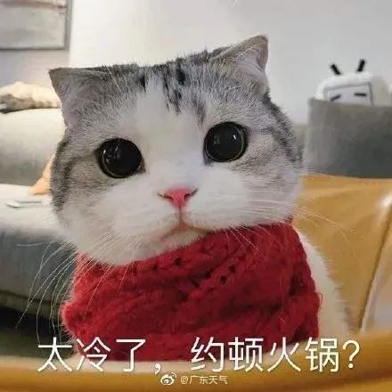 “广州下雪了”？！最新回应来了休闲区蓝鸢梦想 - Www.slyday.coM