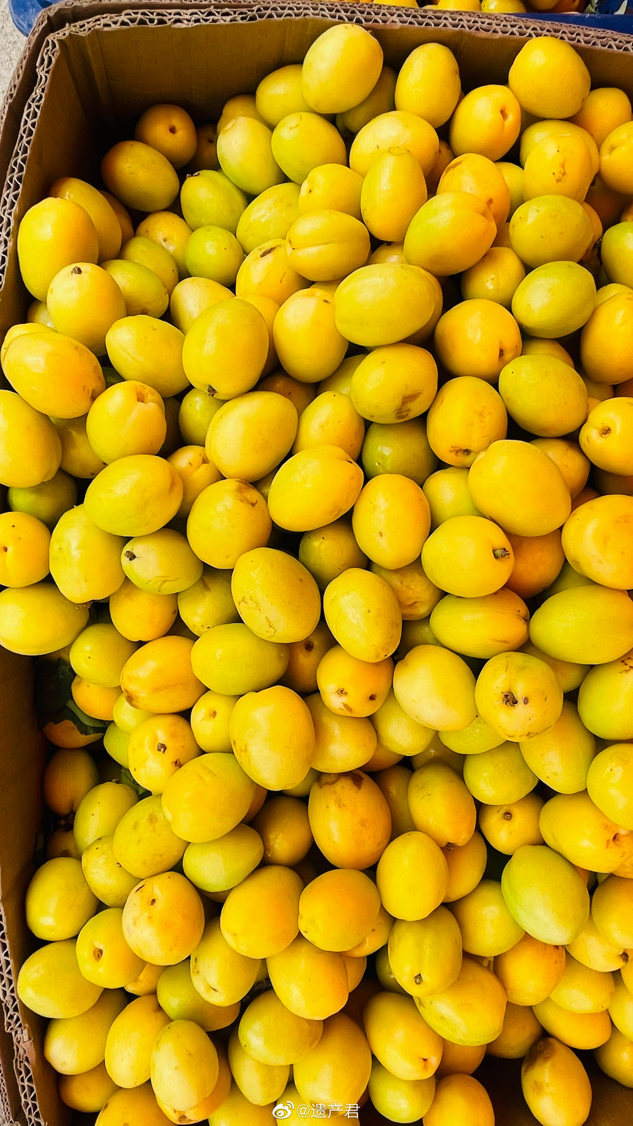 怀念新疆的水果,回来后再也没吃过那么甜的瓜果_高清图集_新浪网